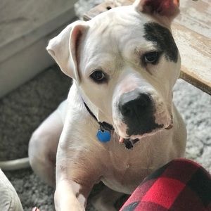 Meet your Posher, Dayna